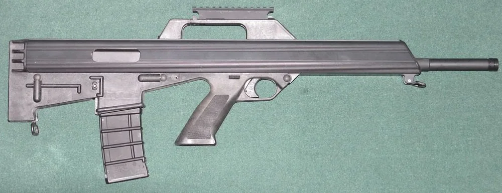 Bushmaster M17S bullpup rifle — real-world reference photo — not the in-game model